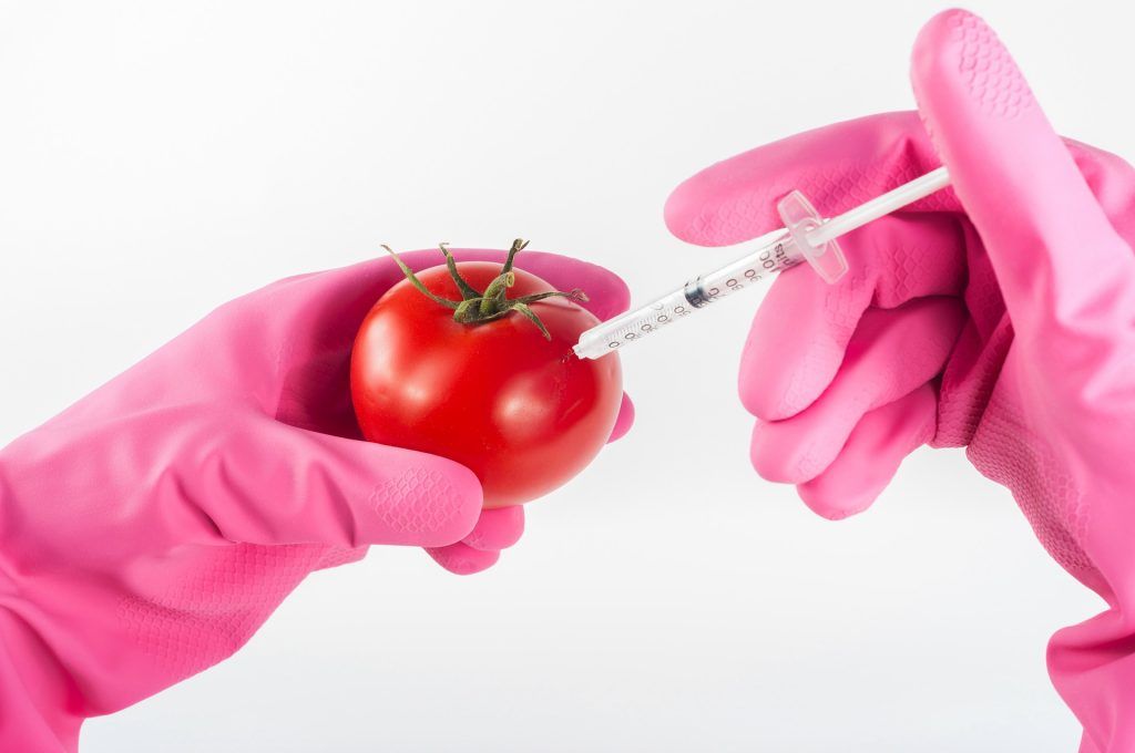 GMO beavatkozás az életbe