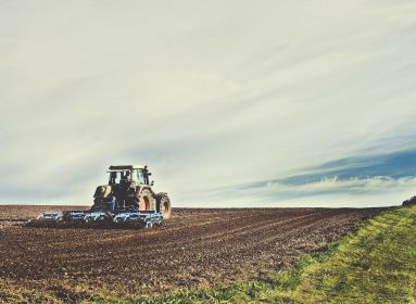 A kormány az ukrán mezőgazdasági termékek behozatali tilalma mellett újabb intézkedéssel segíti az agráriumot