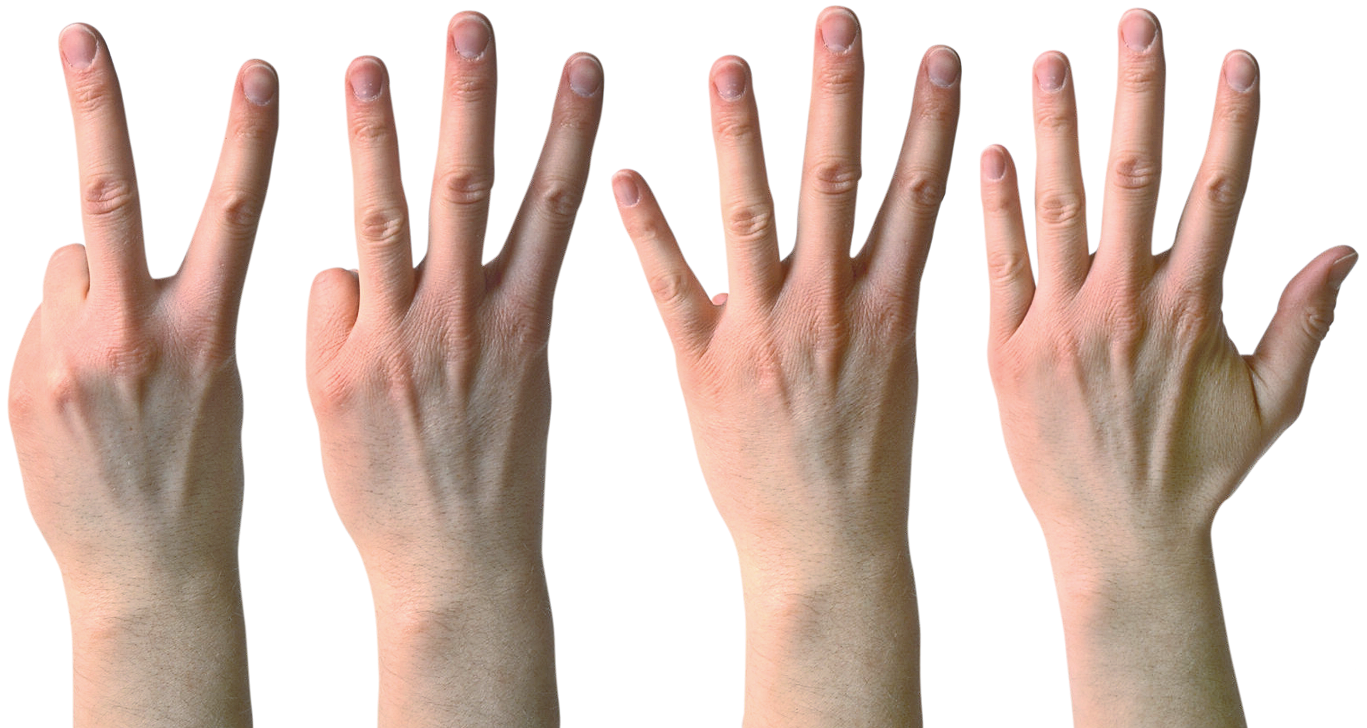 Четыре пальца на руке. Три пальца. Четыре пальца.