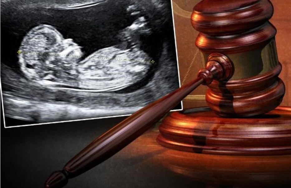 abortusz, törvény
