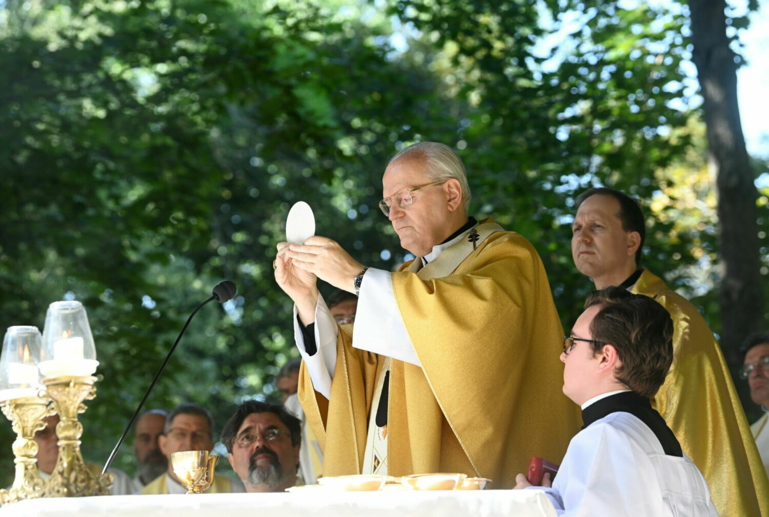 Erdő Péter